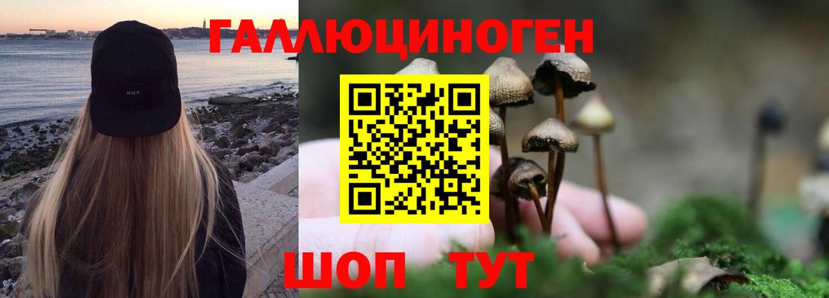 Псилоцибиновые грибы GOLDEN TEACHER Боровичи